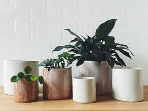 collection of three handmade ceramics planters in golden, white and milky chocolate glazes