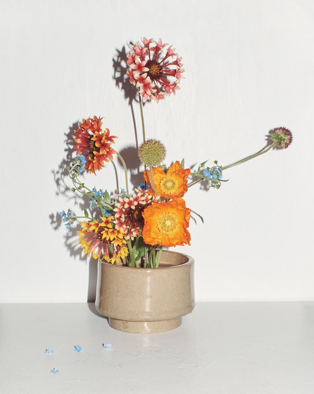 handmade sandstone coloured ceramic ikebana vessel with vibrant arrangement of orange flowers