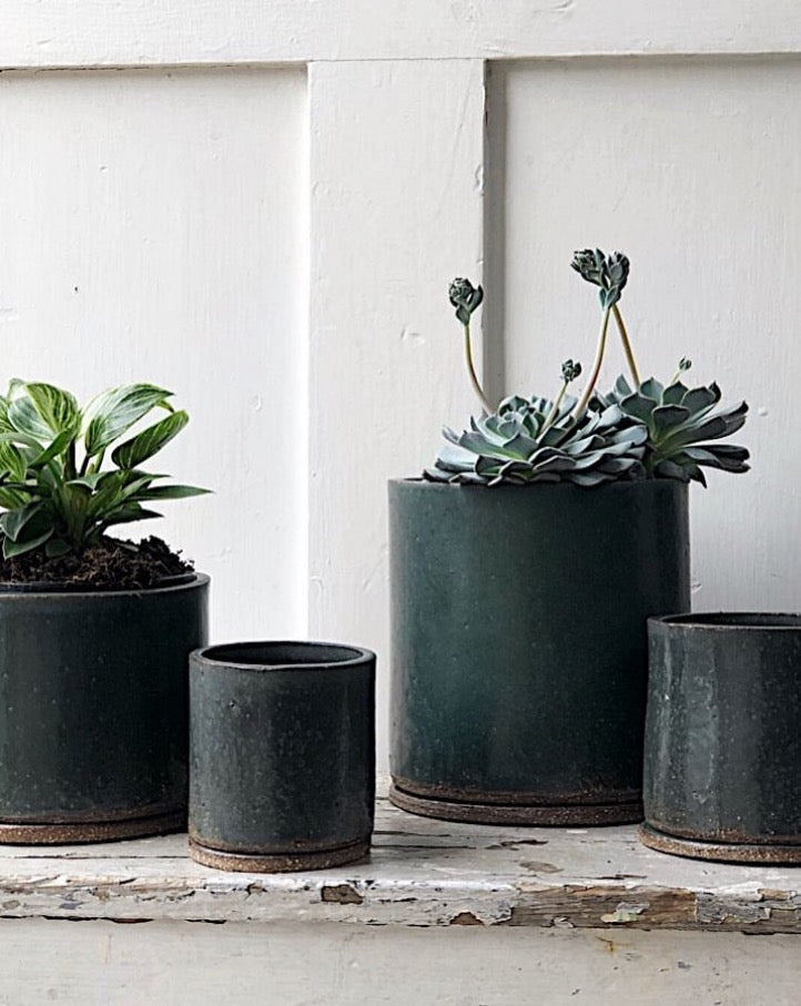 PlanterID exclusive for Plant Society