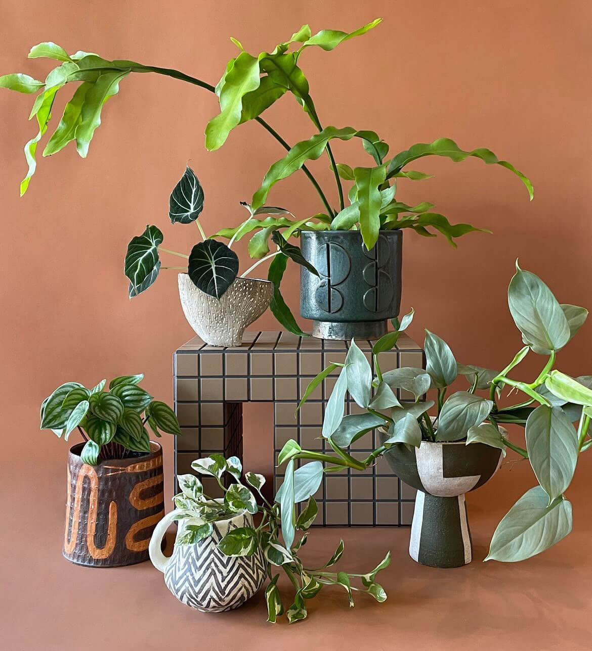 POTTED group show with Nikau
