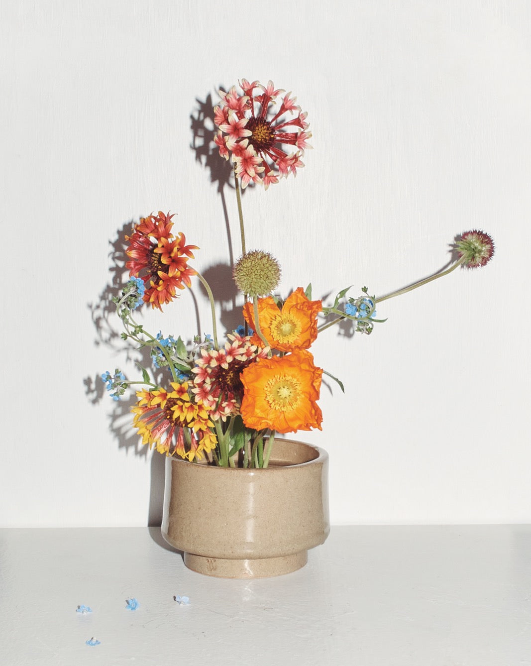 Jenn Johnston Ceramics x Braer collaboration. Sandy custom planter.