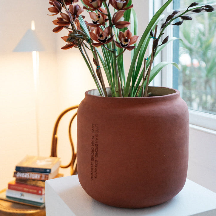 Orchid, growing - from Long Story Short