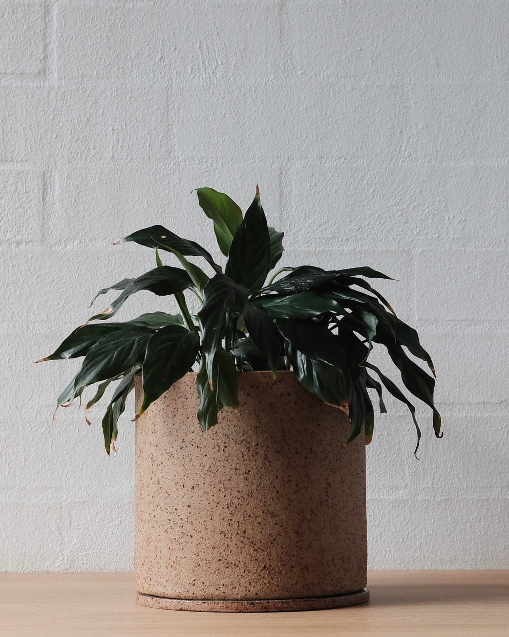 earth handmade ceramics planter
