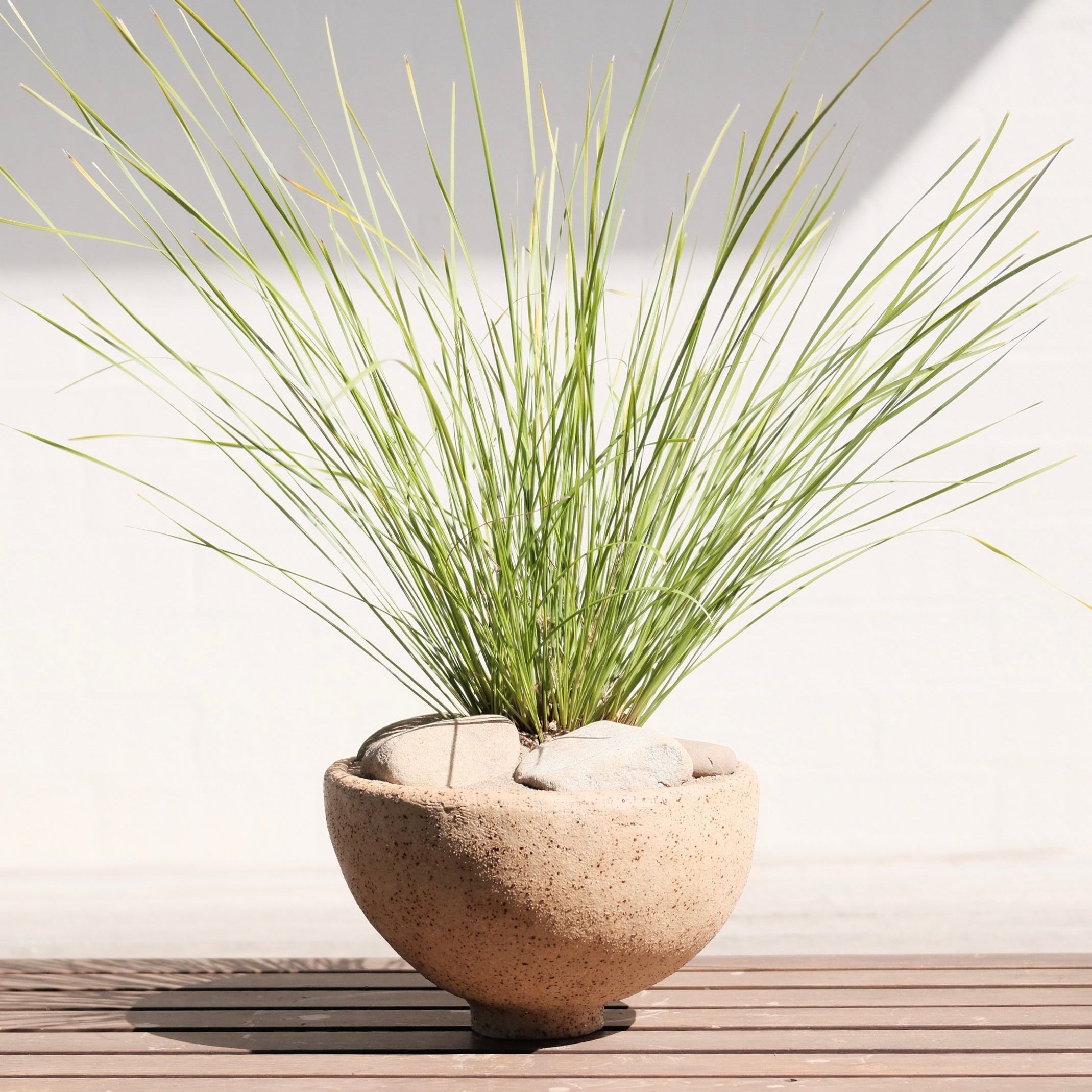 Round ceramic bowl planted with grass and decorated with river pebbles