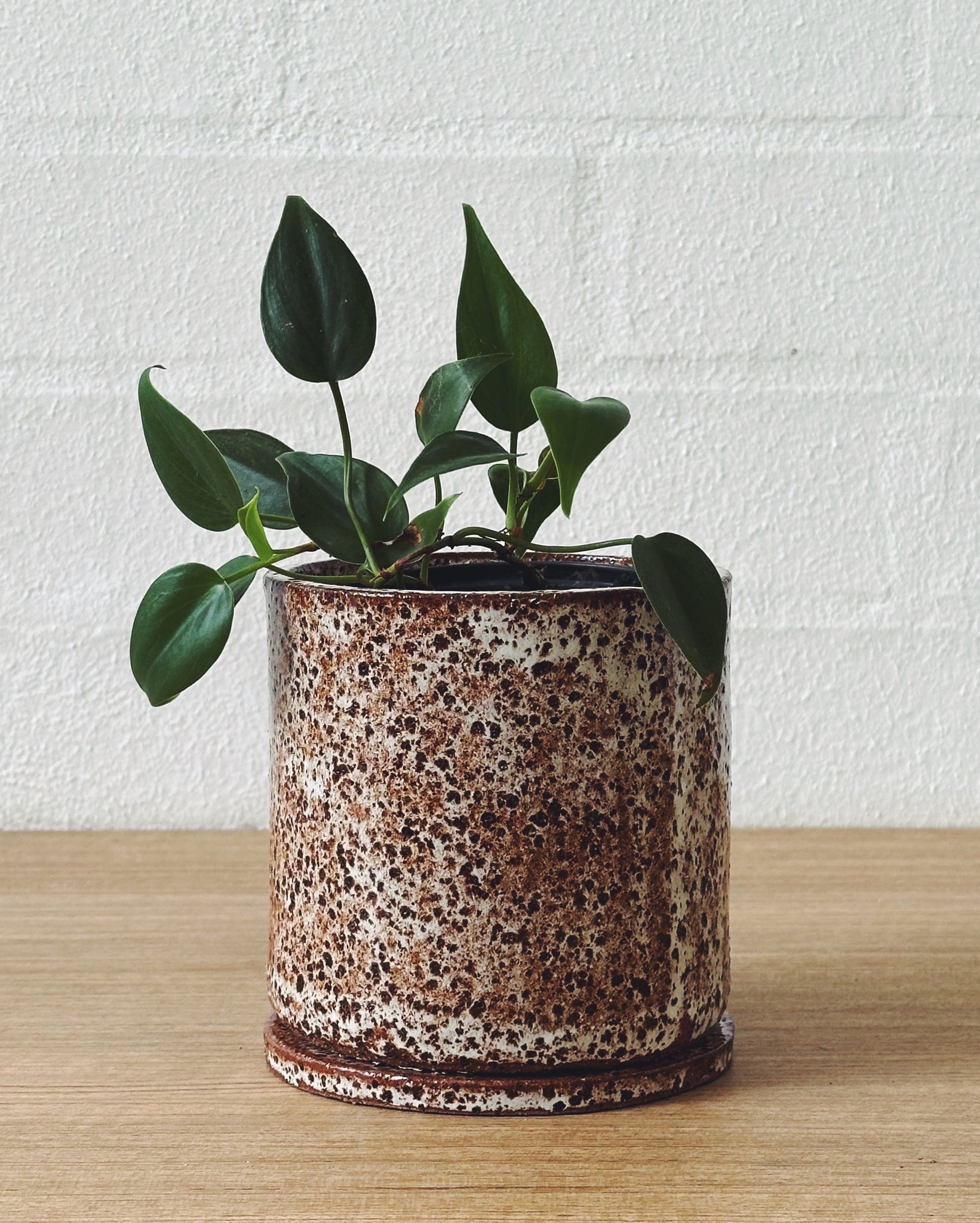 Saturday 16th March: Design and create your perfect planter (3 hour workshop)
