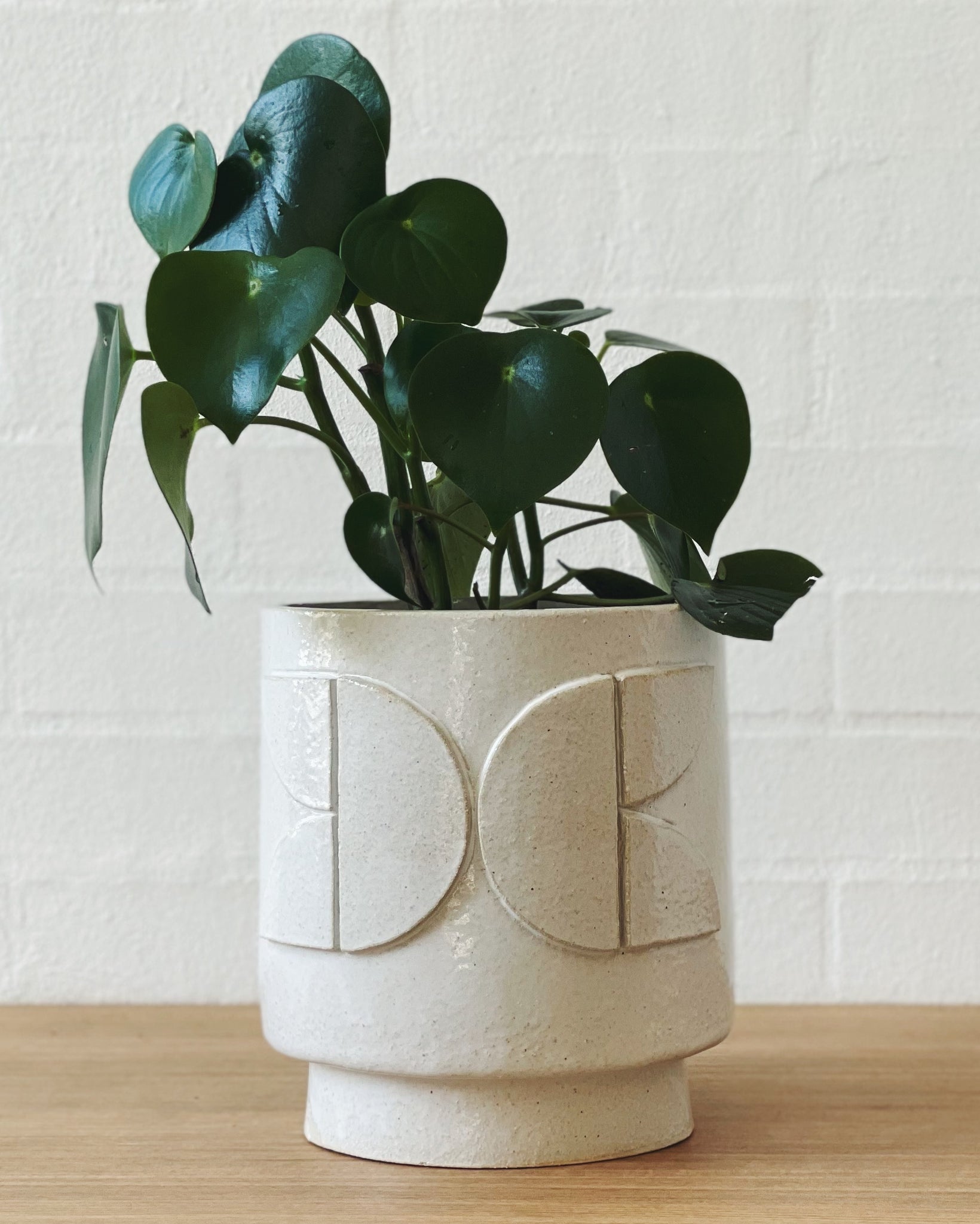 Jenn Johnston Ceramics classic white planterART - butterfly motif