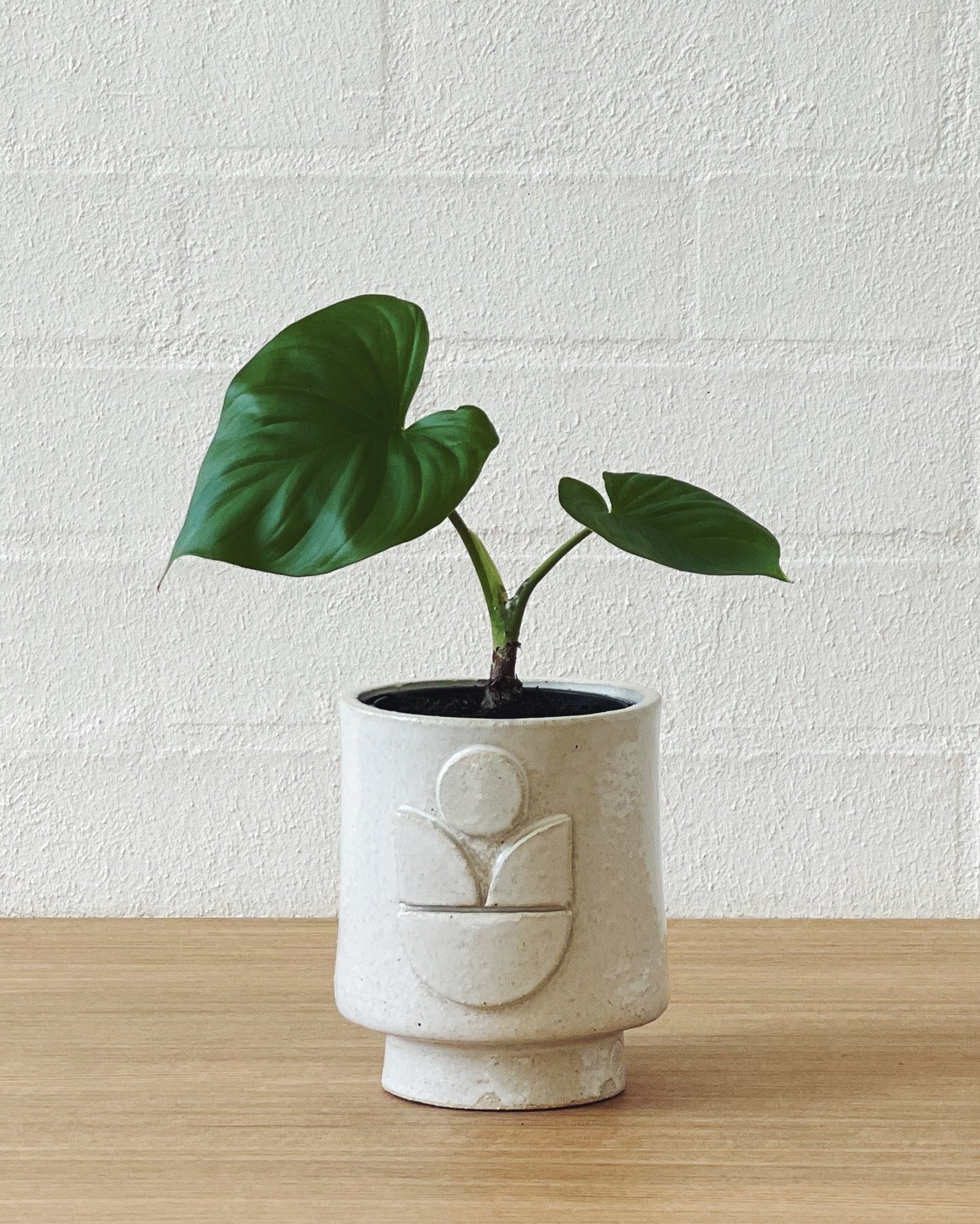 Jenn Johnston Ceramics classic white planterART - tulip motif