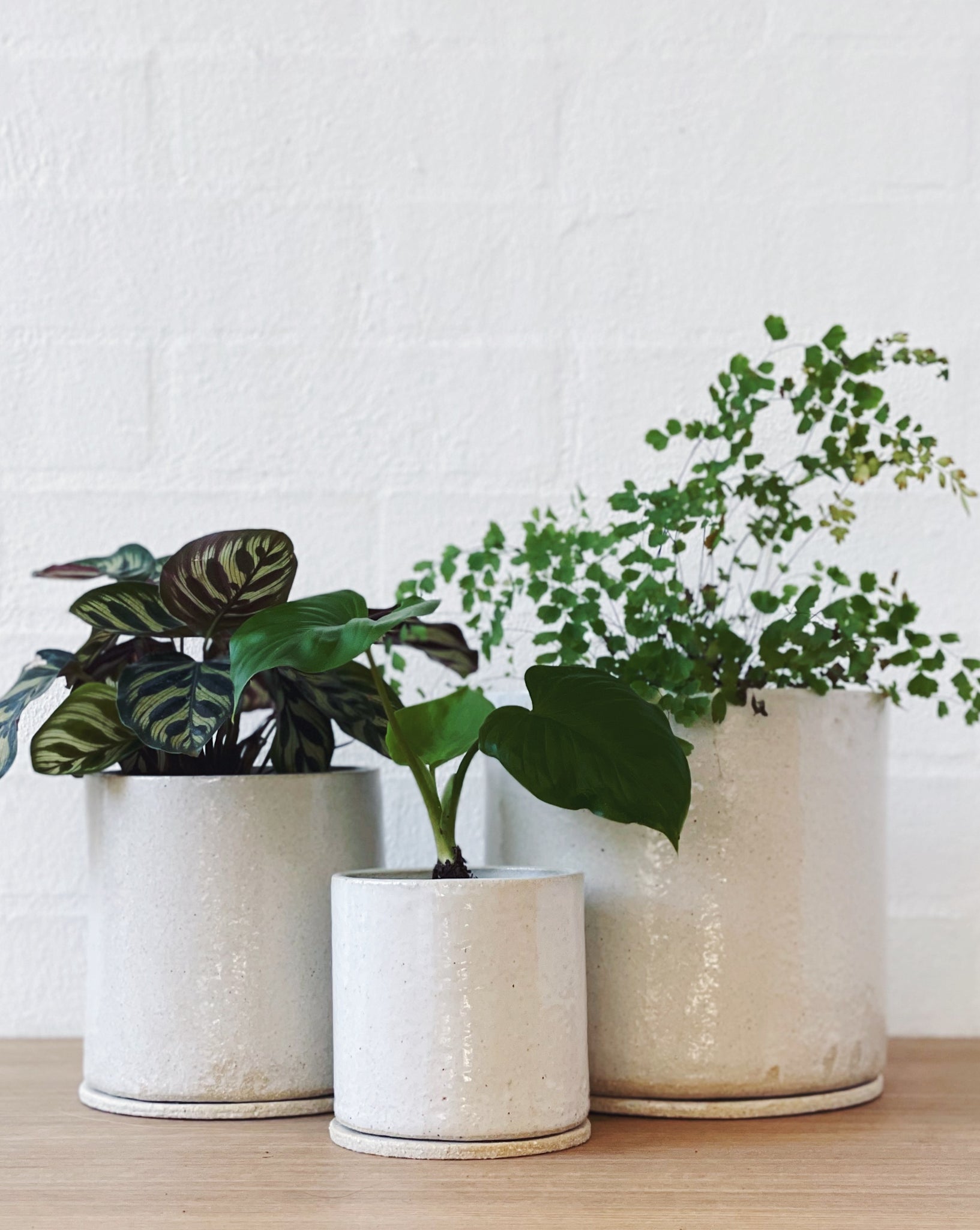 Jenn Johnston Ceramics classic white planterID - with drainage hole and coaster