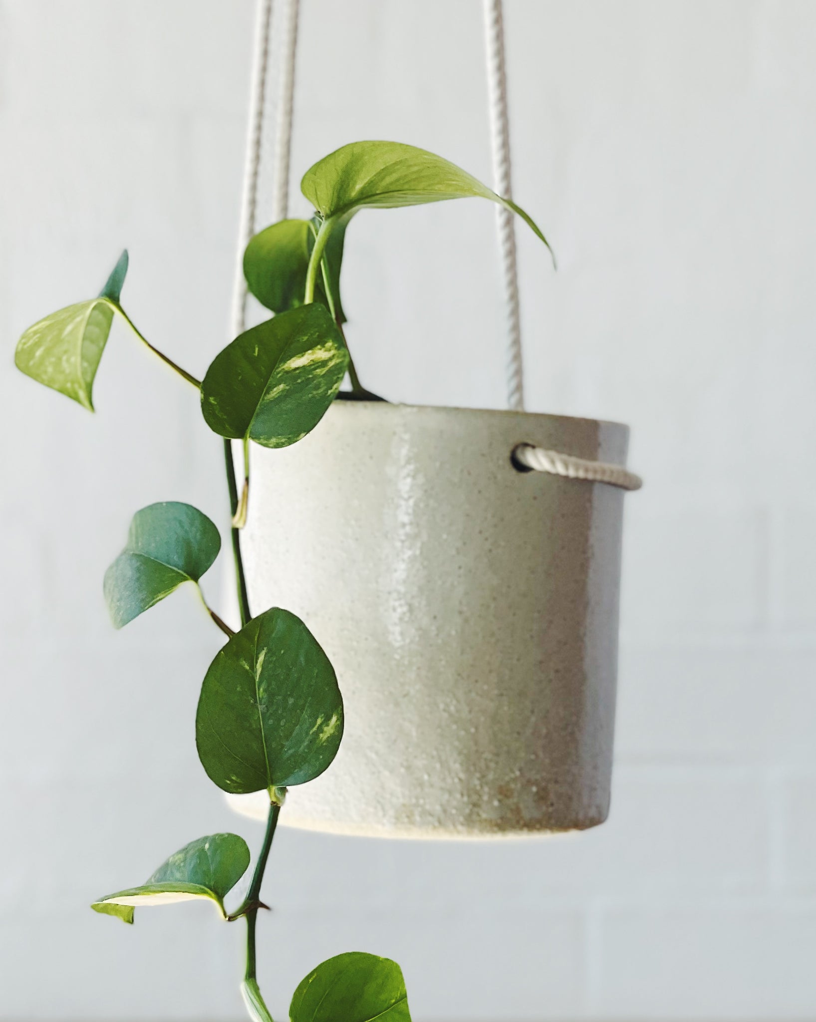 Jenn Johnston Ceramics classic white planterID - hanging planter