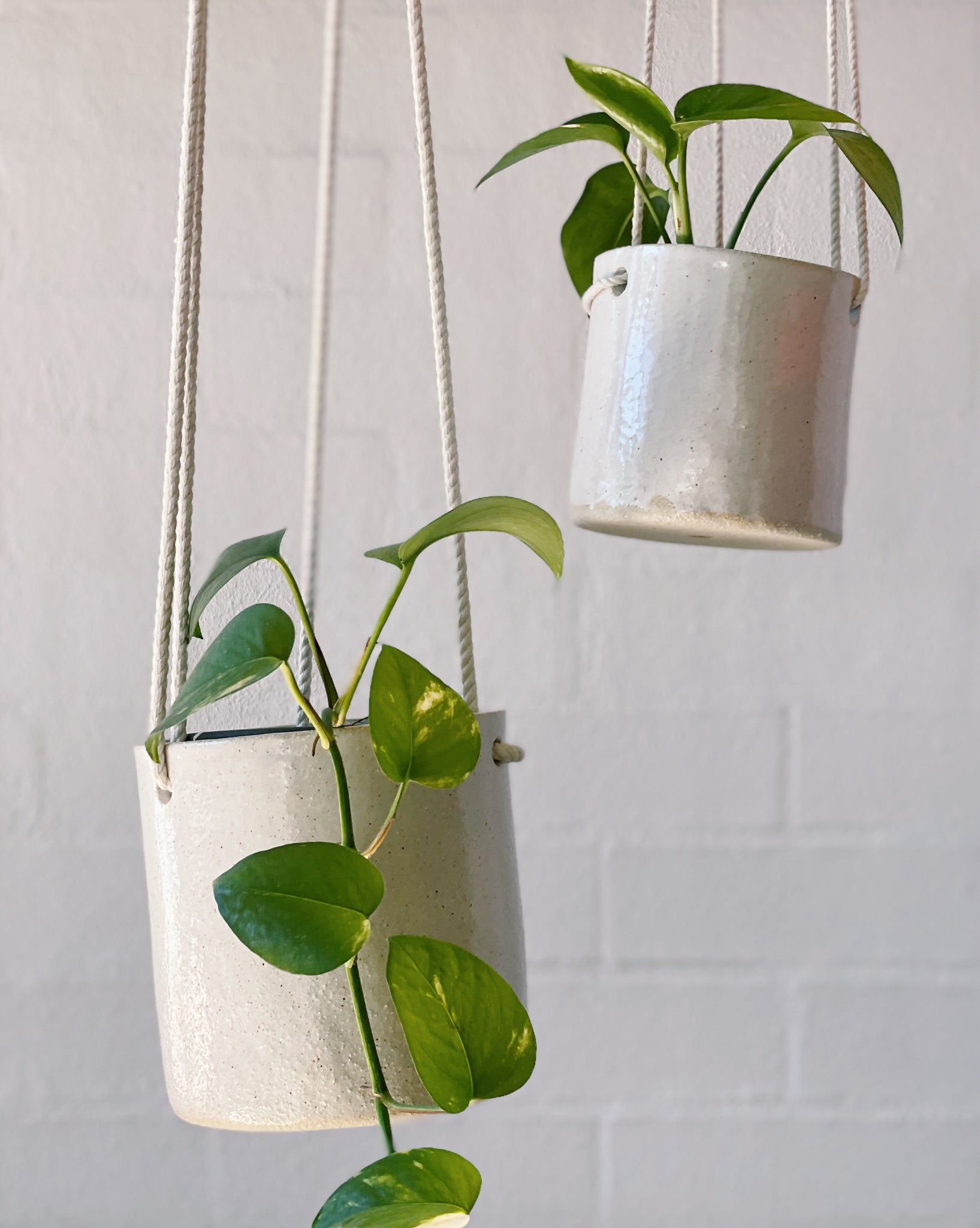 Jenn Johnston Ceramics classic white planterID - hanging planter
